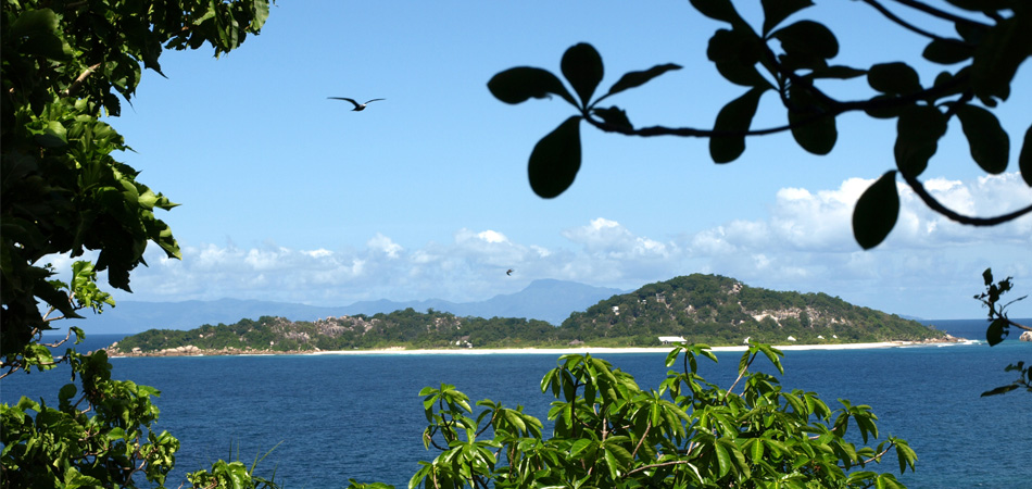 Staytravelling PS Seychellen Sea Shell