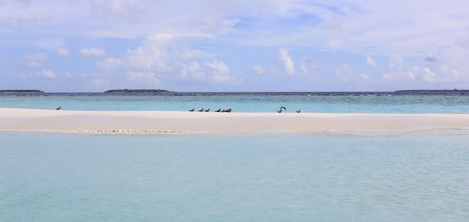 Staytravelling Malediven Sandbank