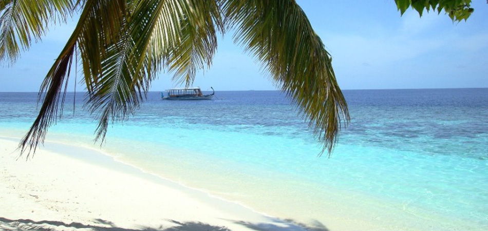 Staytravelling Malediven Inselhüpfen Schnorcheln