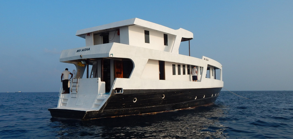 Staytravelling Malediven MV Aisha Safari