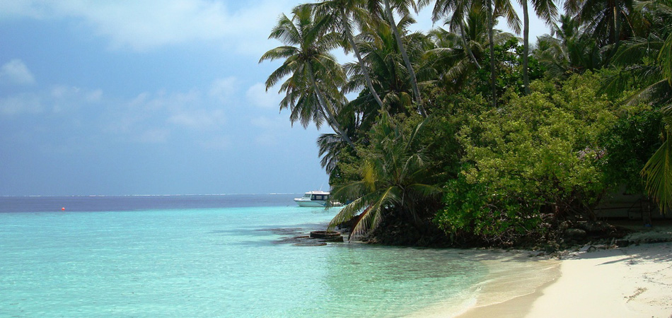 Staytravelling Malediven Schnorchelsafari