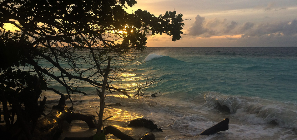 Staytravelling Malediven Tauchurlaub Baa Atoll