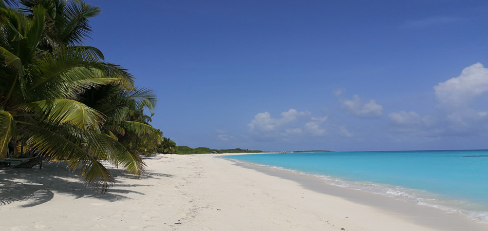 Staytravelling Local Island Urlaub Malediven