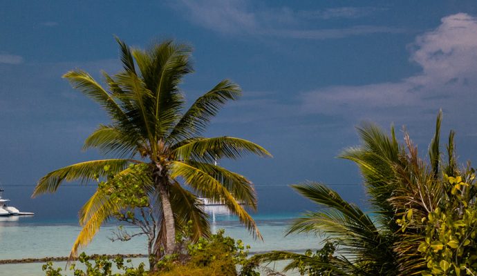 Staytravelling Malediven Katamaran Baa Atoll